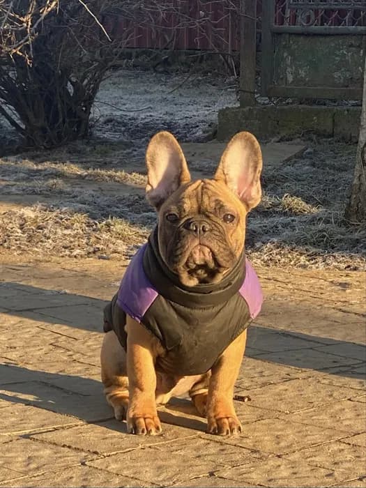 Щастя за гроші. Хлопчик з документами КСУ — 1/3